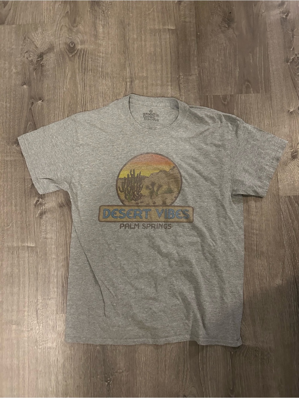 Vintage Goodie Two Sleeves Desert Vibes Palm Springs Graphic
